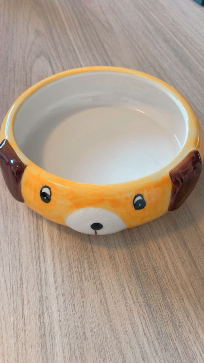 Comedouro The Pets Porcelana para Cães 550 ml