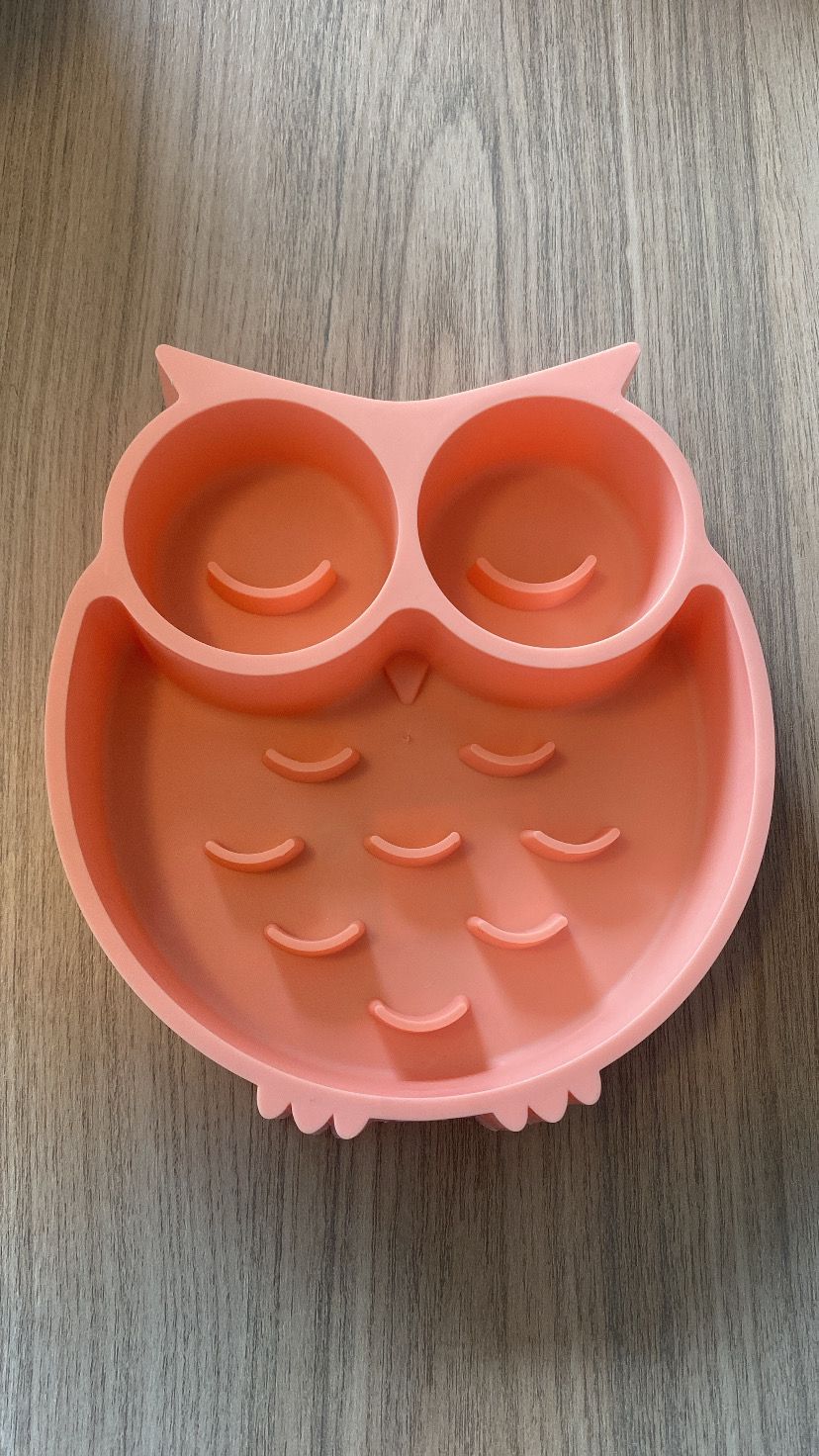 COMEDOURO LENTO PARA PETS SLOW FOOD CORUJINHA